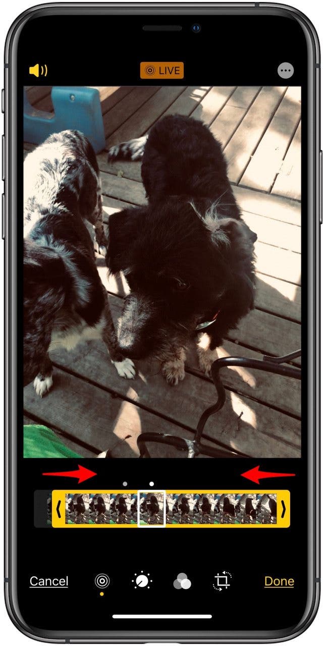 cut live photo length on iphone