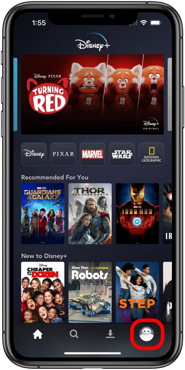 How to Cancel Disney Plus on Your iPhone - How To Cancel Disney Plus Account On Iphone