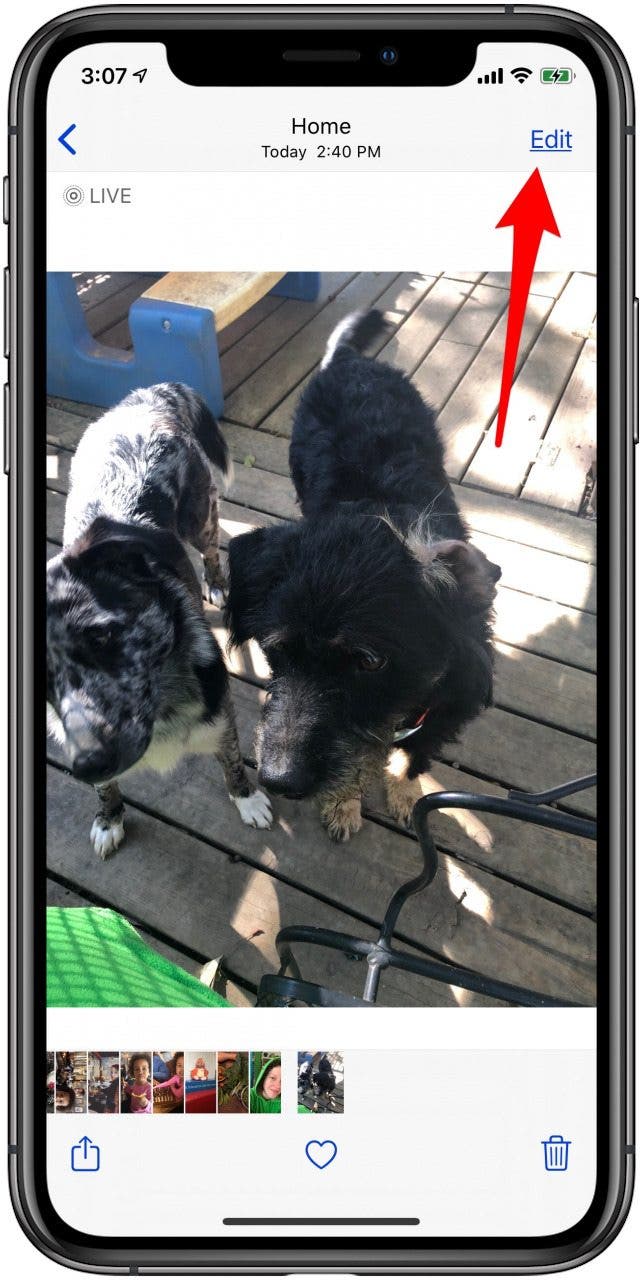 edit live photo on iphone