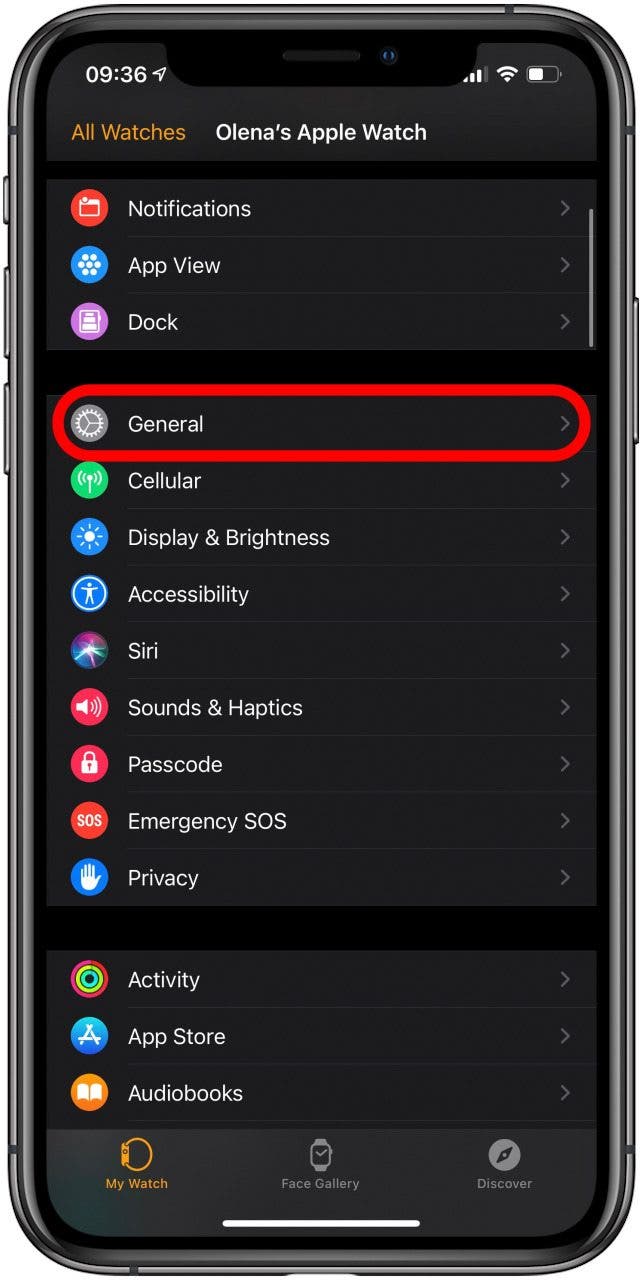 How to Make, Accept & Mute Calls on Apple Watch