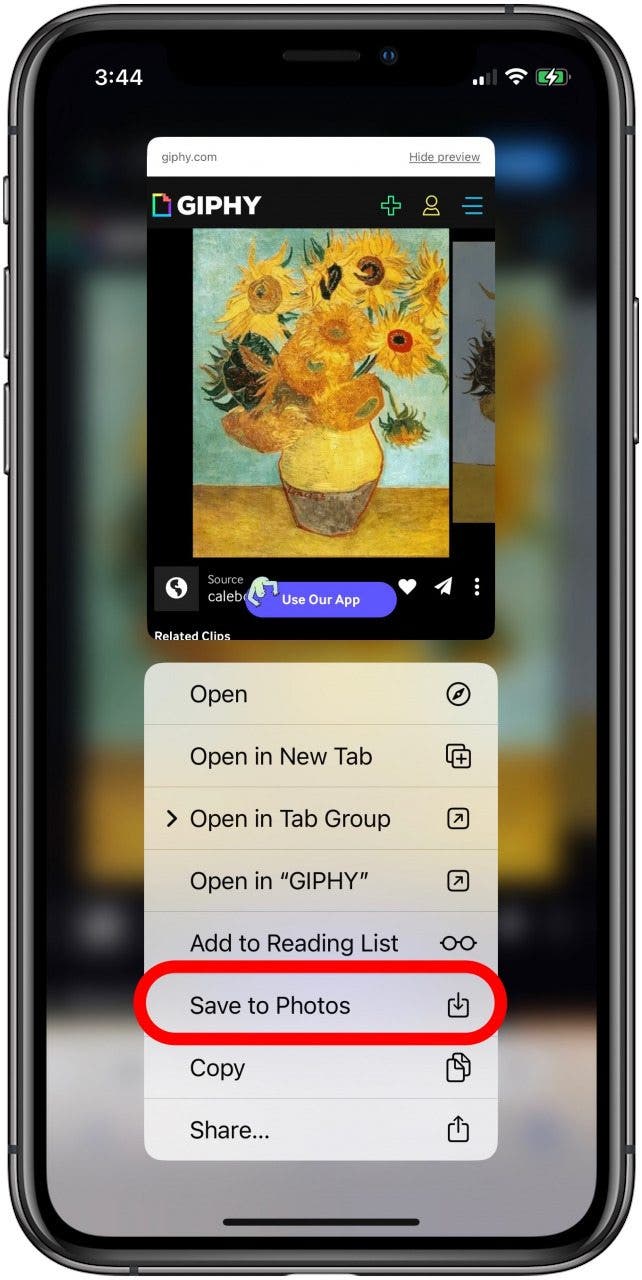 how to download giphy gif from website