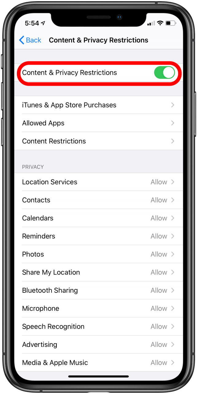 content and privacy restrictions iphone meaning