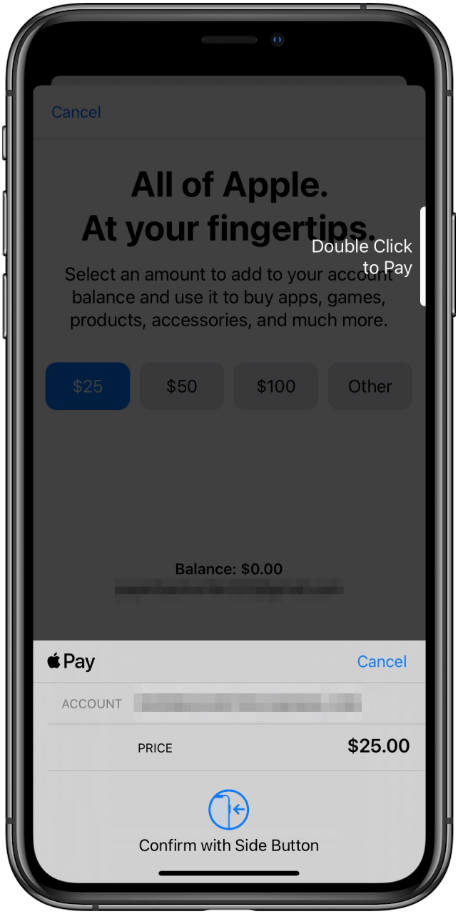 How To Add Funds To Your Apple ID Account On An IPhone IPad Or Mac How To Add Funds To Your Apple ID Account On An IPhone IPad Or Mac
