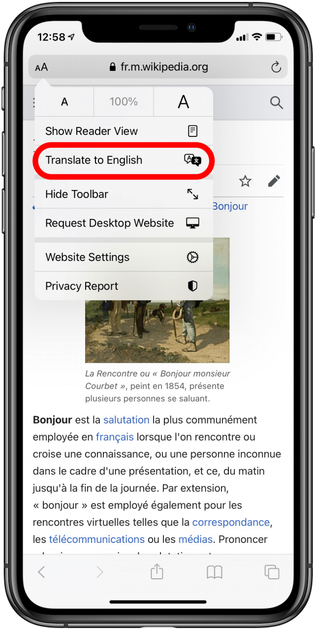 safari ipad translate website