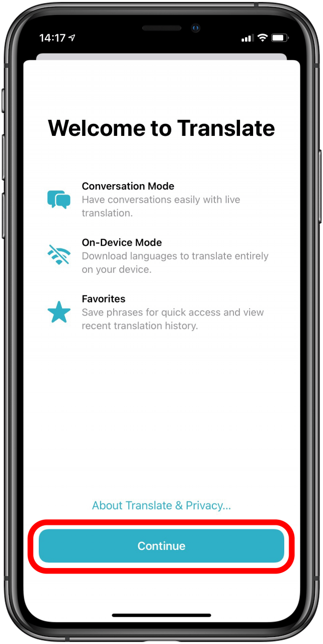How to Set Up the Apple Translate App