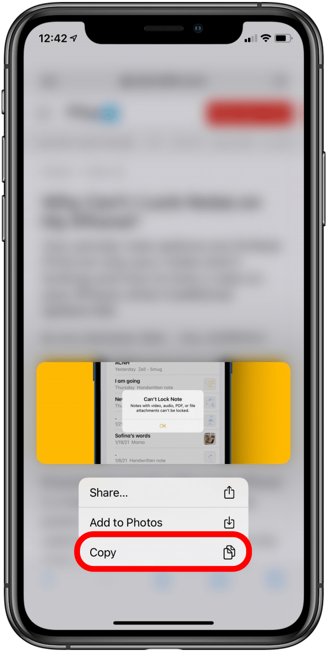 How to Copy & Paste on an iPhone or iPad