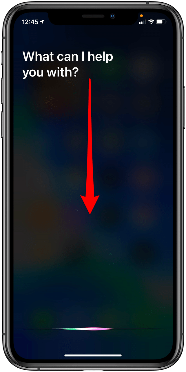 How to See Siri History on iPhone