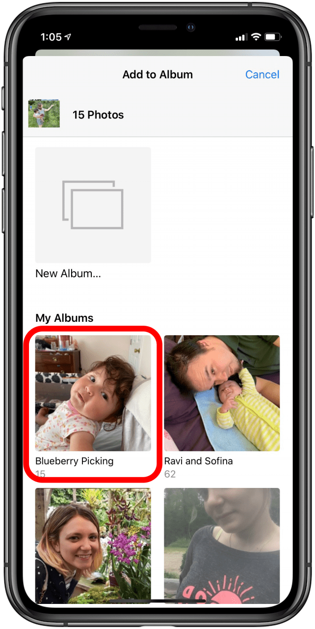 The 2 Fastest Ways to Organize Photos on iPhone