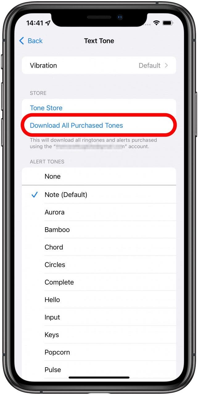 Joseph Banks mentalitet ilt Custom Text Tones for iPhone? Here's How (2023)