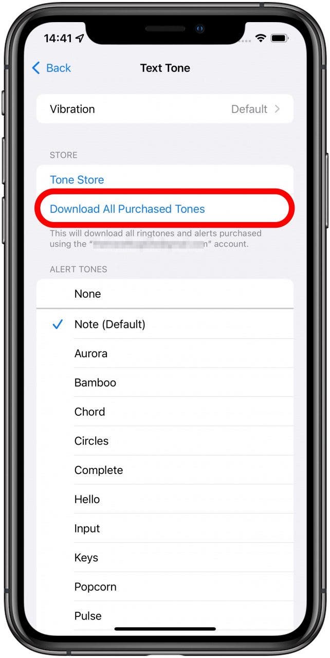 Next, tap Download All Purchased Tones.