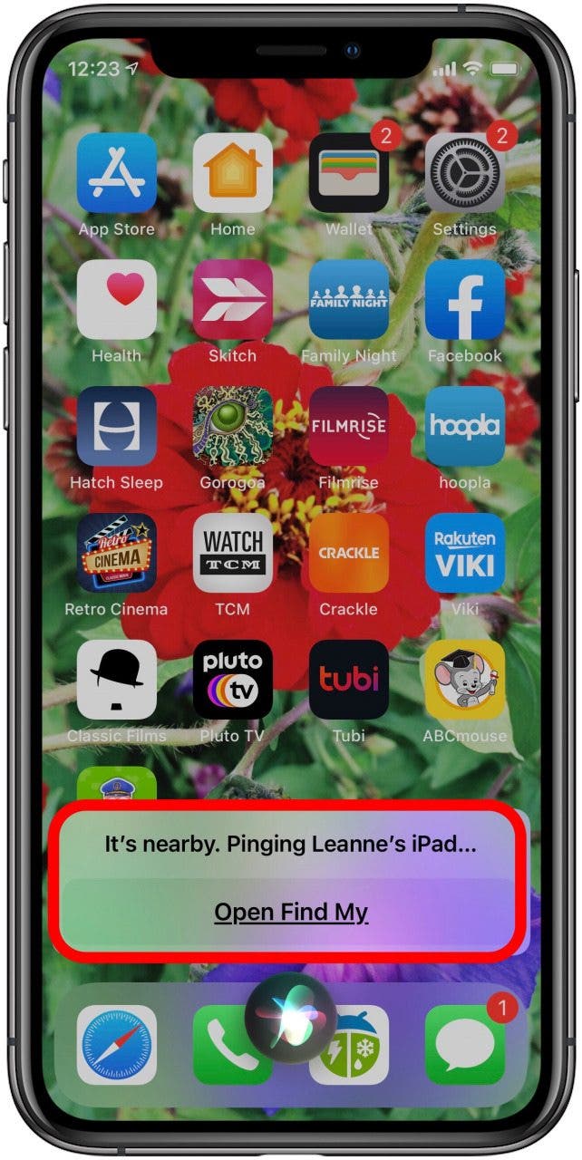 iphone pinging ipad