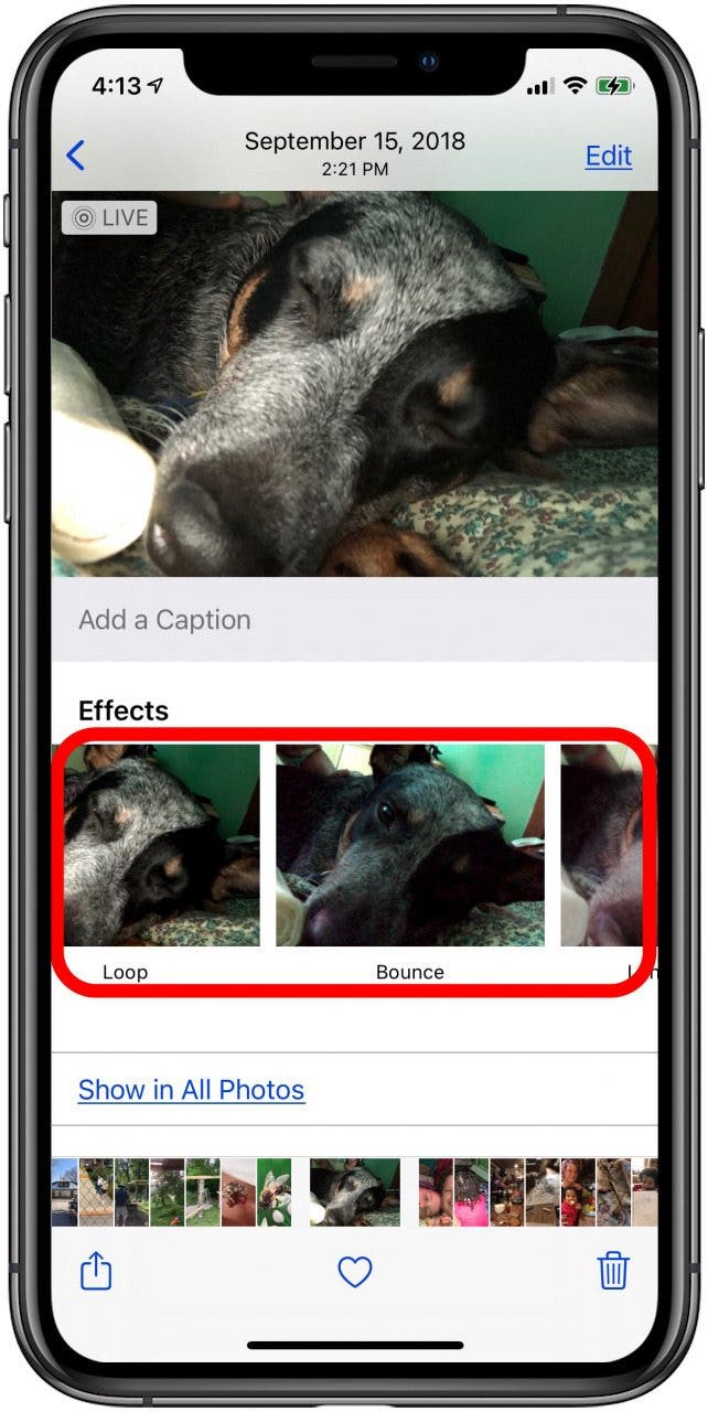 gif options