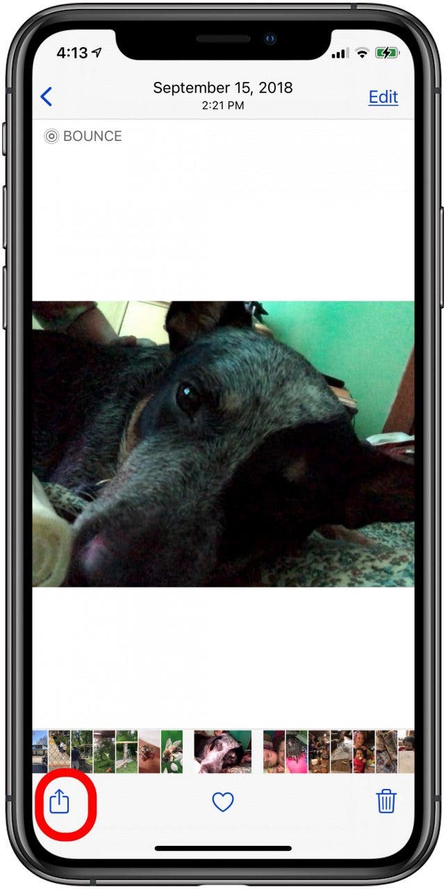 apple share icon