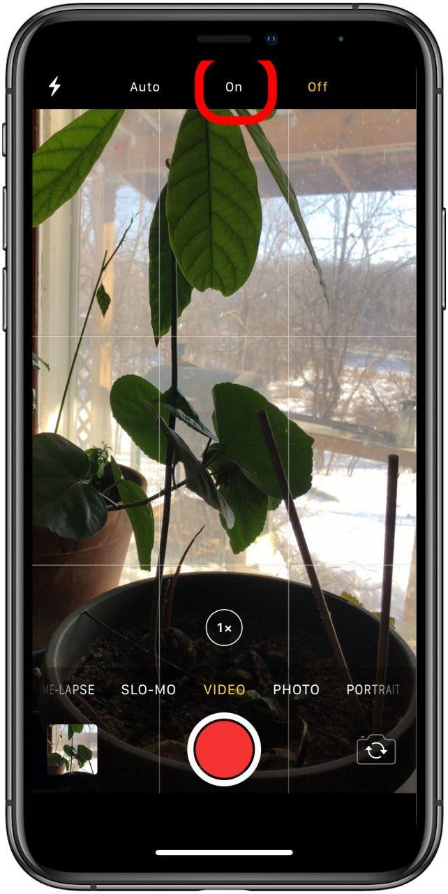 How to Fix the Flashlight on an iPhone