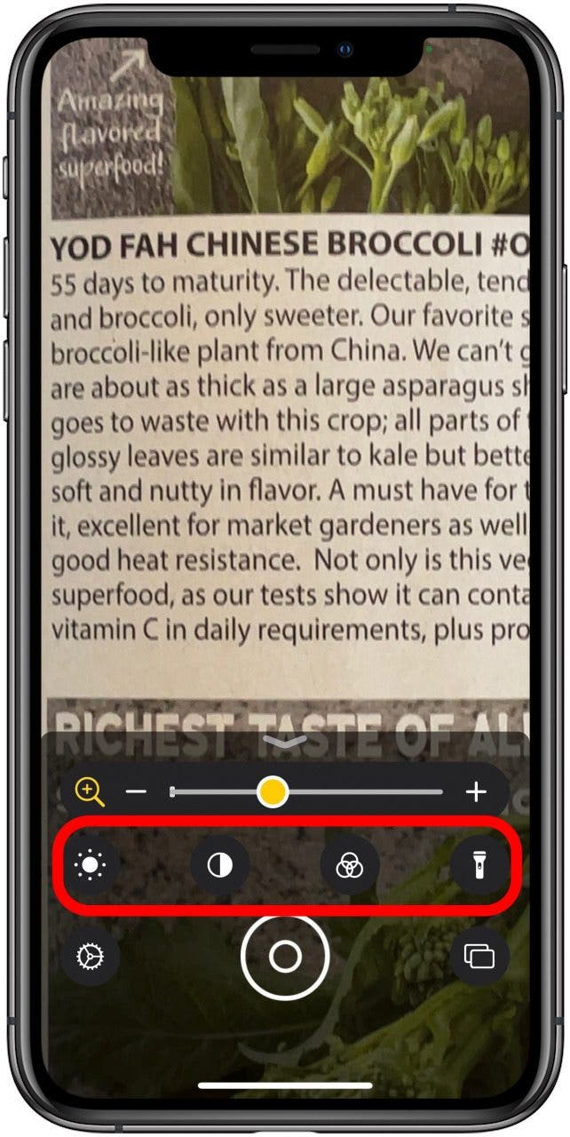 How to Use the Magnifier on Your iPhone & iPad
