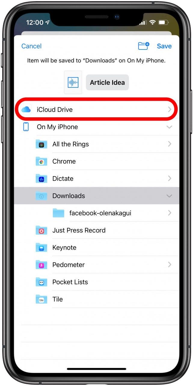 Tap iCloud Drive.