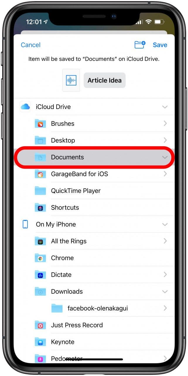 Tap Documents. You can also select a different folder or create a new one exclusively for voice memos.