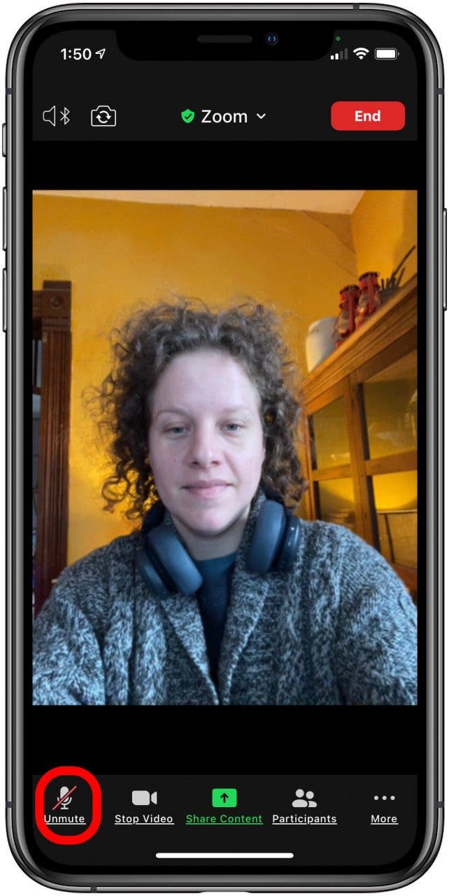 Troubleshooting Zoom Audio Issues on an iPhone, iPad, or Mac