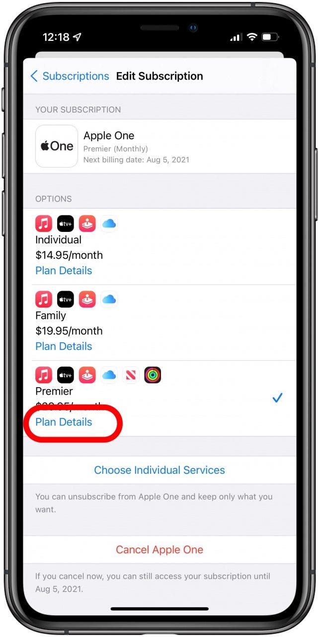 To view which plan you have, tap iCloud or Apple One to see the Plan Details.