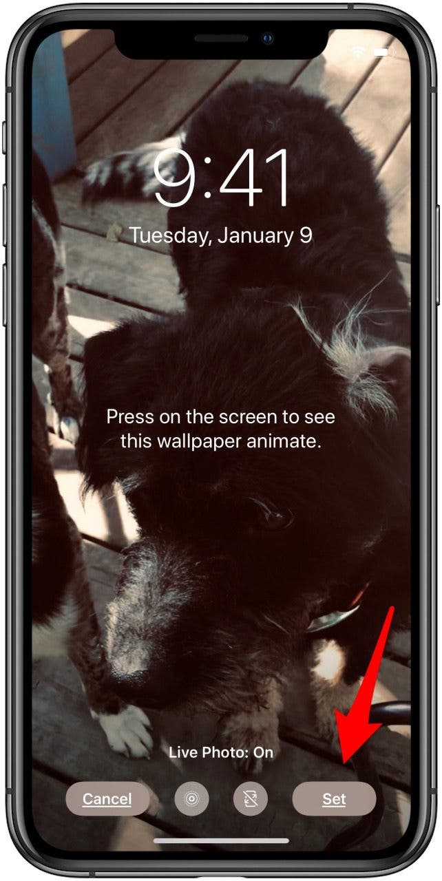 How to Set a Live Photo as the Wallpaper (Background) on Your iPhone