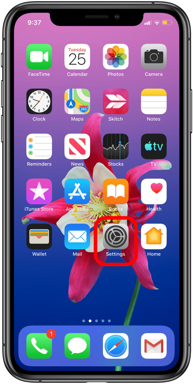 rename airpods ios 13