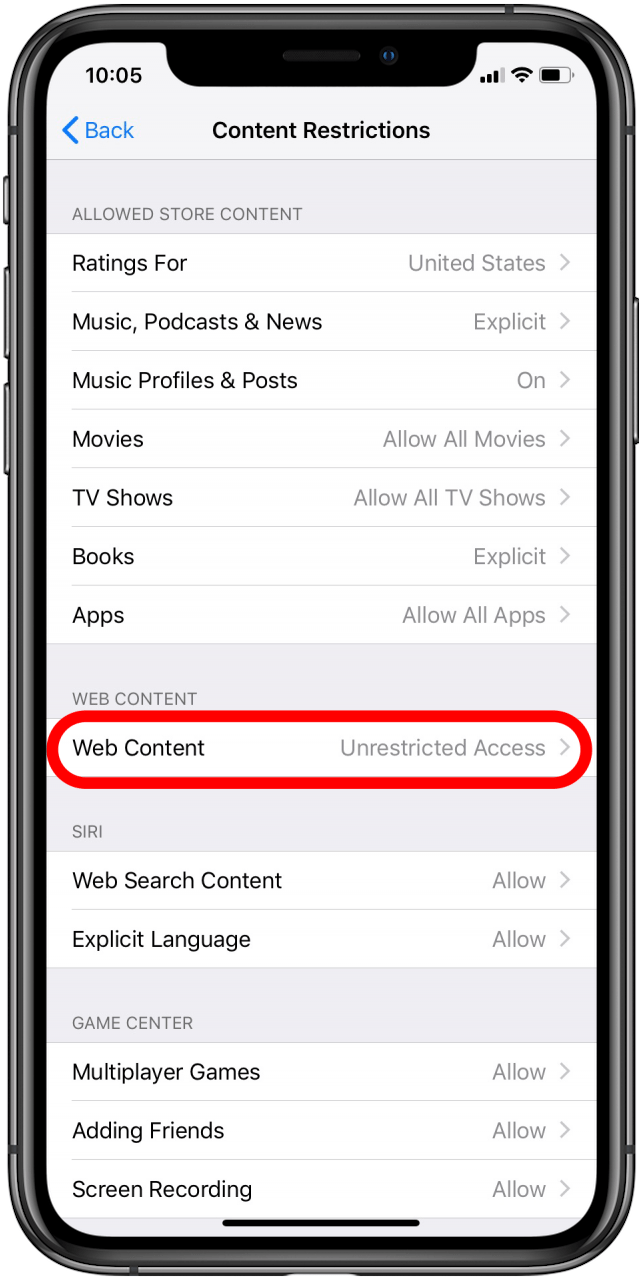 title= ios safari block website