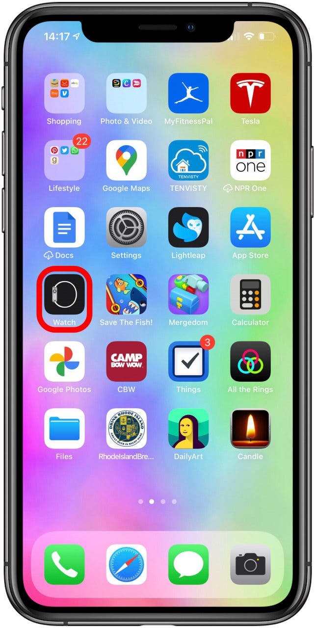 How to Make, Accept & Mute Calls on Apple Watch