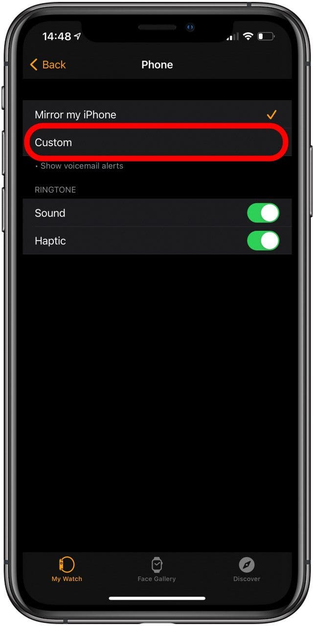 How to Make, Accept & Mute Calls on Apple Watch
