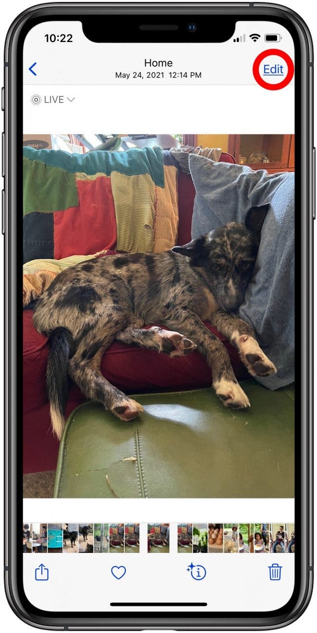 How to Select a Frame from a Live Photo & Save It as the Key Photo on