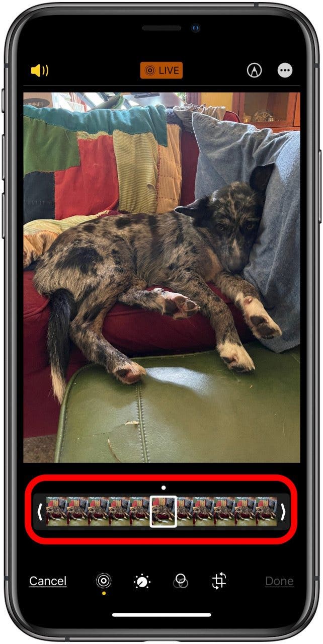 How to Select a Frame from a Live Photo & Save It as the Key Photo on