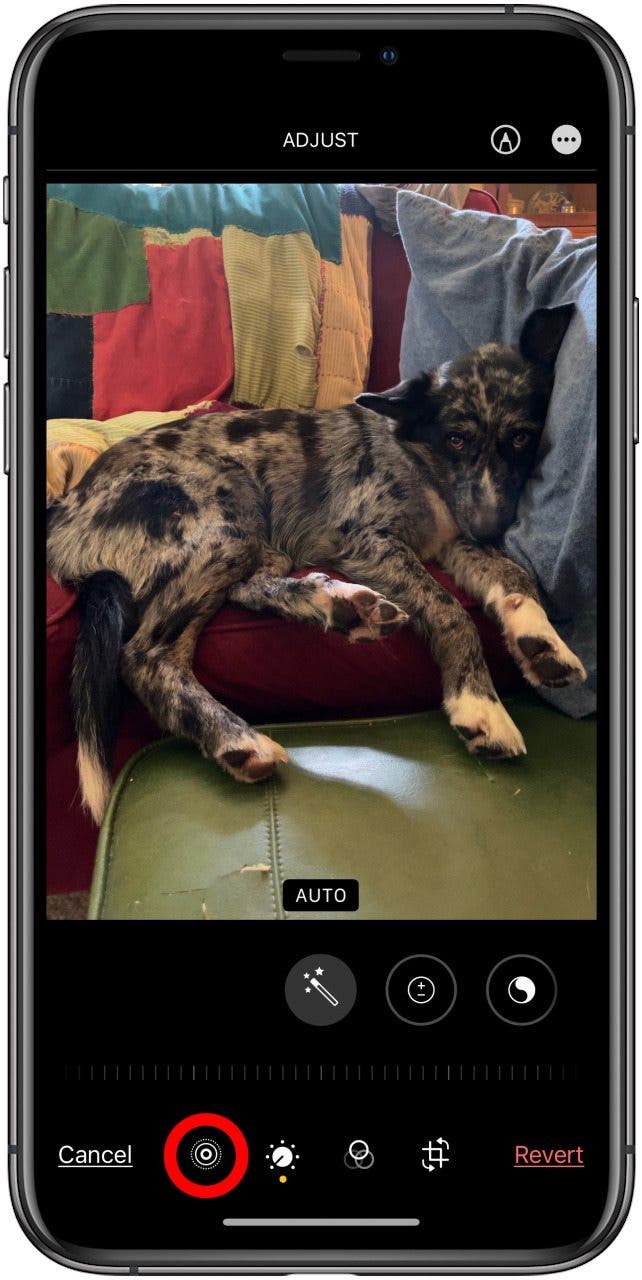 How to Select a Frame from a Live Photo & Save It as the Key Photo on