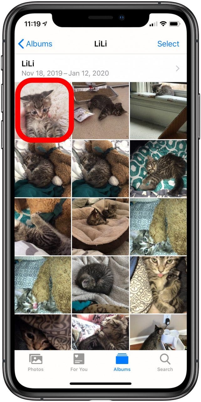 How to Make a Slideshow in the iPhone Photos App