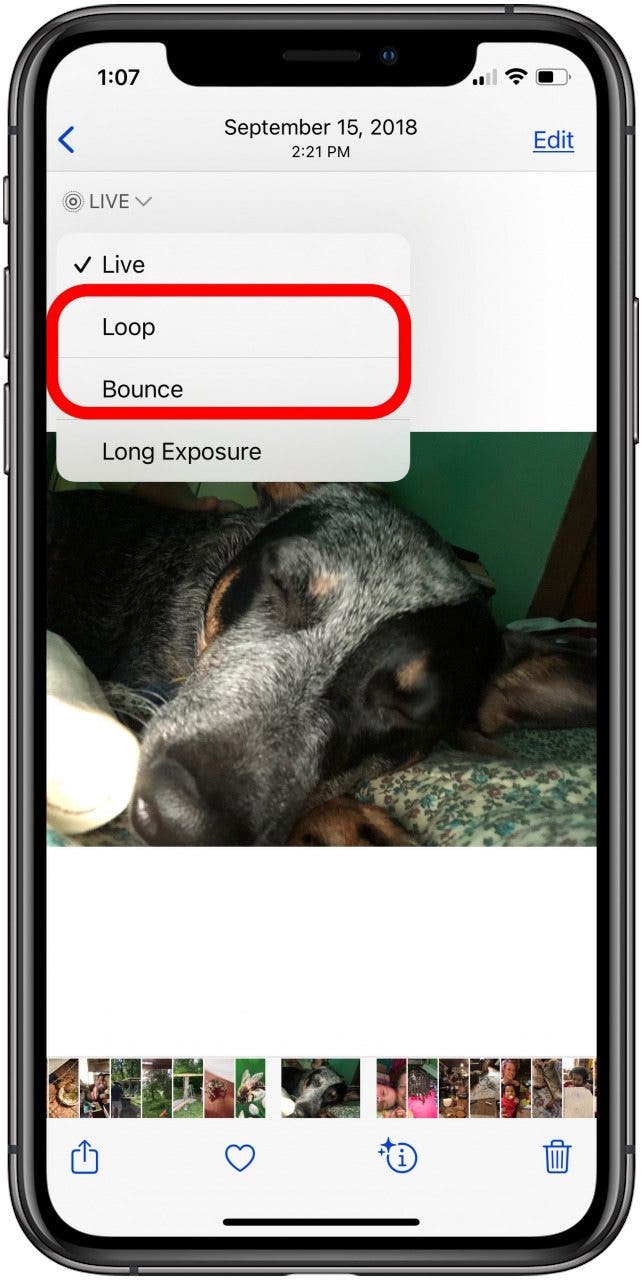make a gif out of a live photo make a gif out of a live photo