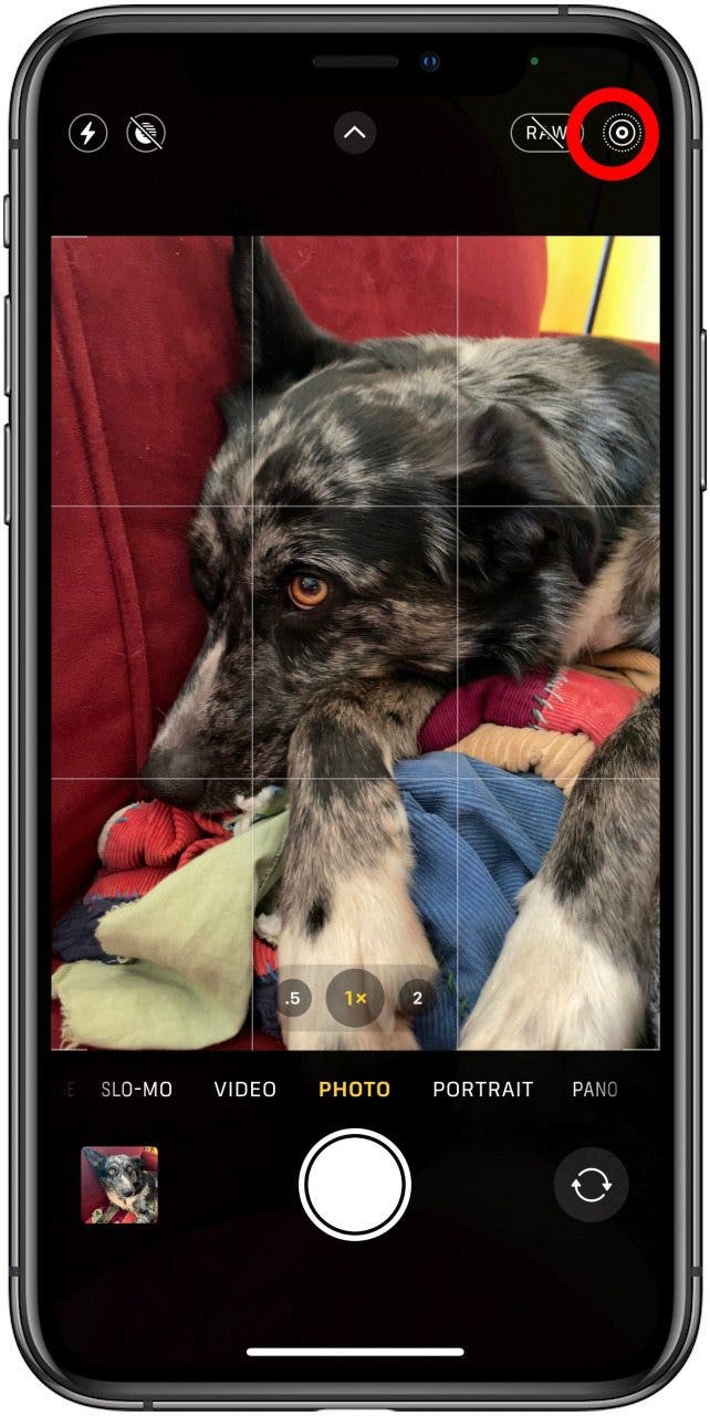 tap the live photo icon to be sure live photo is on