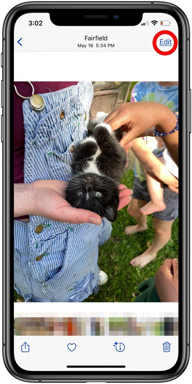 How to Convert PNG to JPEG on iPhone (2022)