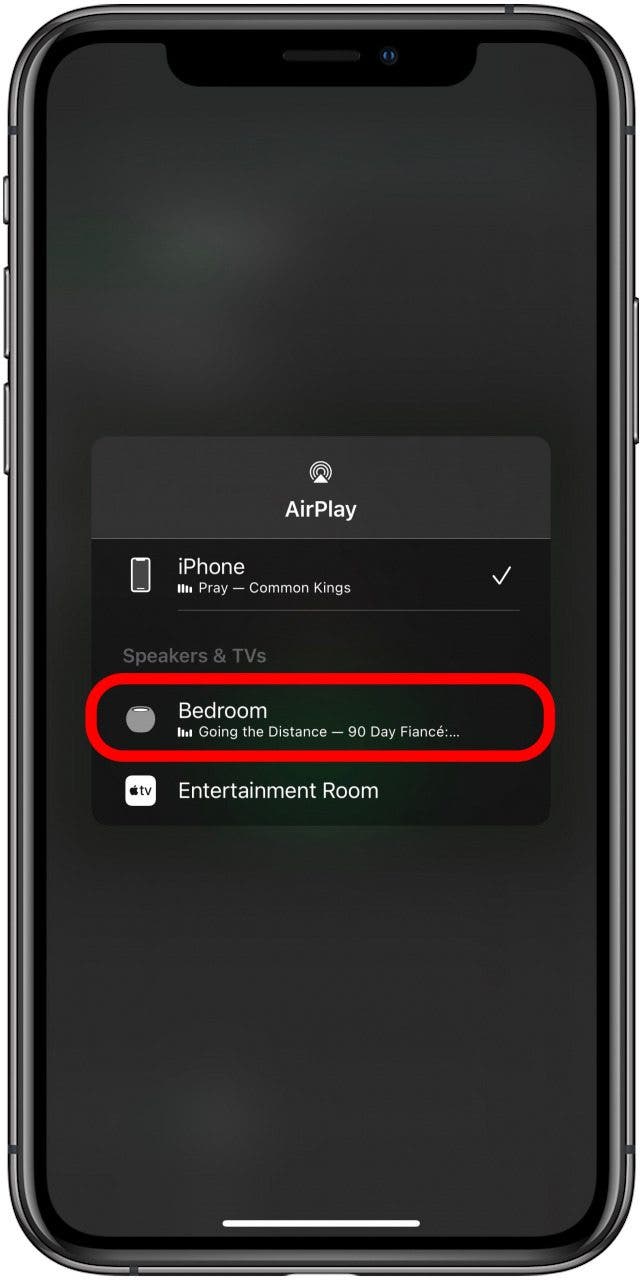 Select the HomePod you want to play the music on.