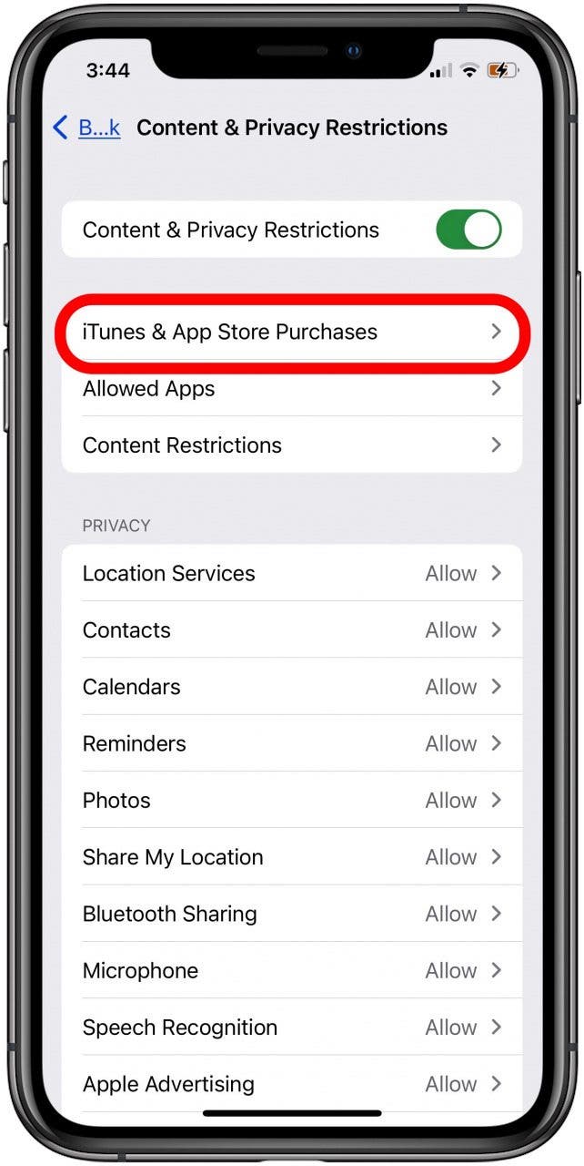 how-to-get-the-app-store-back-on-your-iphone