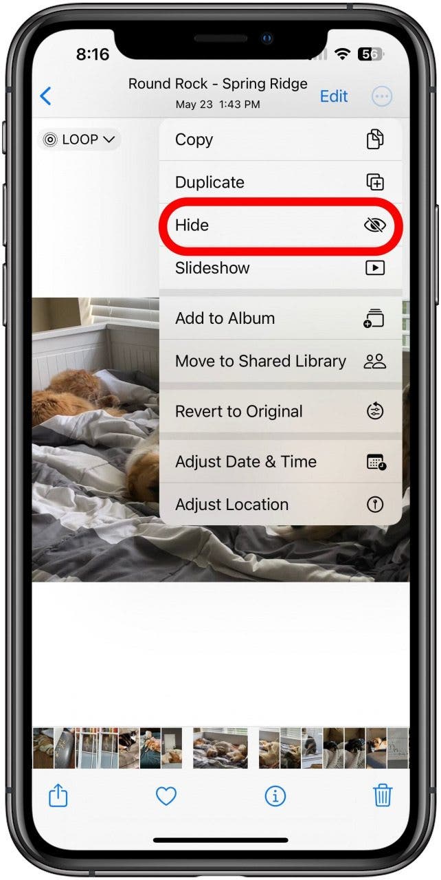 Photos app with a specific photo open and the 3-dot menu open in which the Hide option is marked.