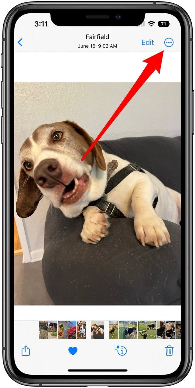 Photo open in Photos app with an arrow pointing to the three-dot menu in the upper right corner.