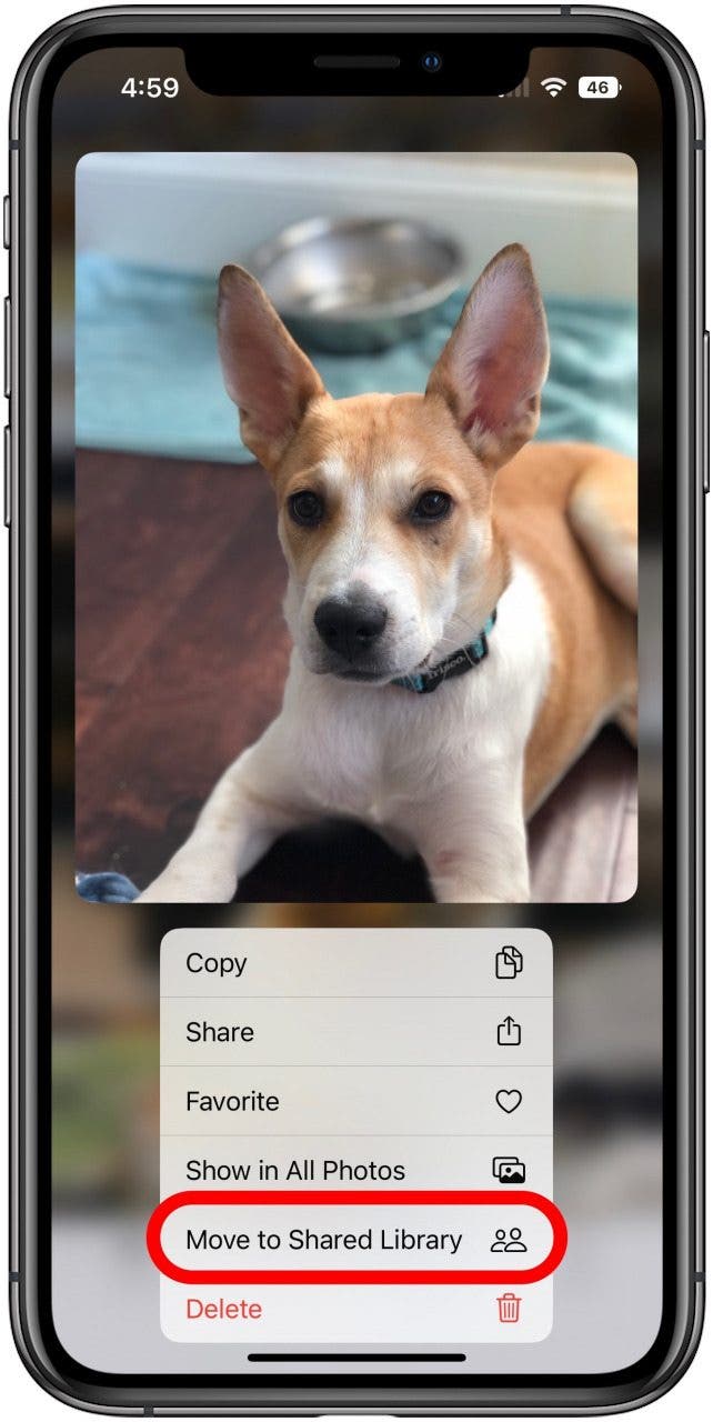 A photo with its long press menu open and the Move to Shared Library option marked.