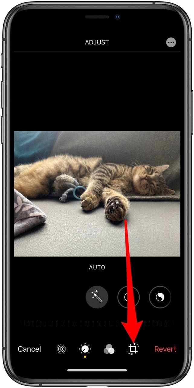 The Quickest Way to Crop Pictures on the iPhone