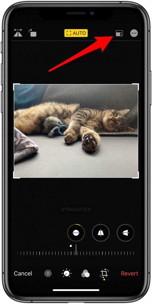 The Quickest Way to Crop Pictures on the iPhone