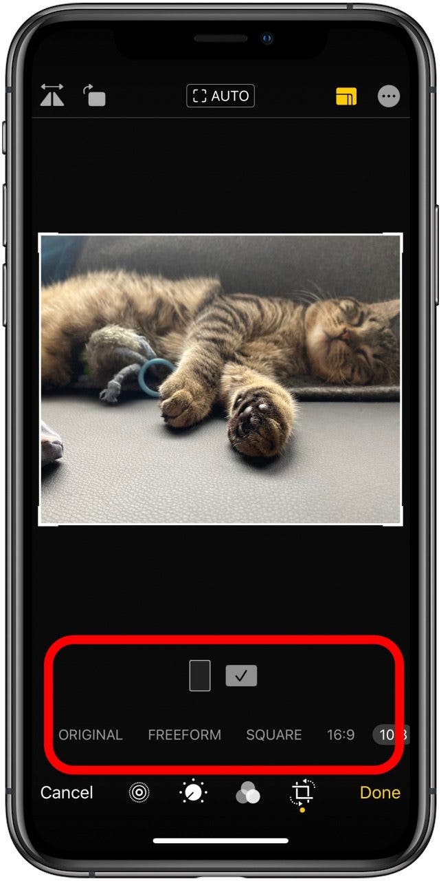 The Quickest Way to Crop Pictures on the iPhone