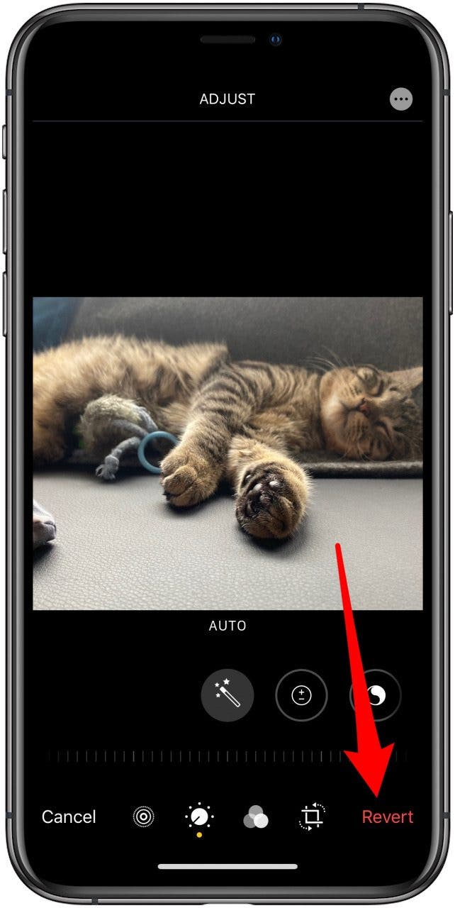 The Quickest Way to Crop Pictures on the iPhone