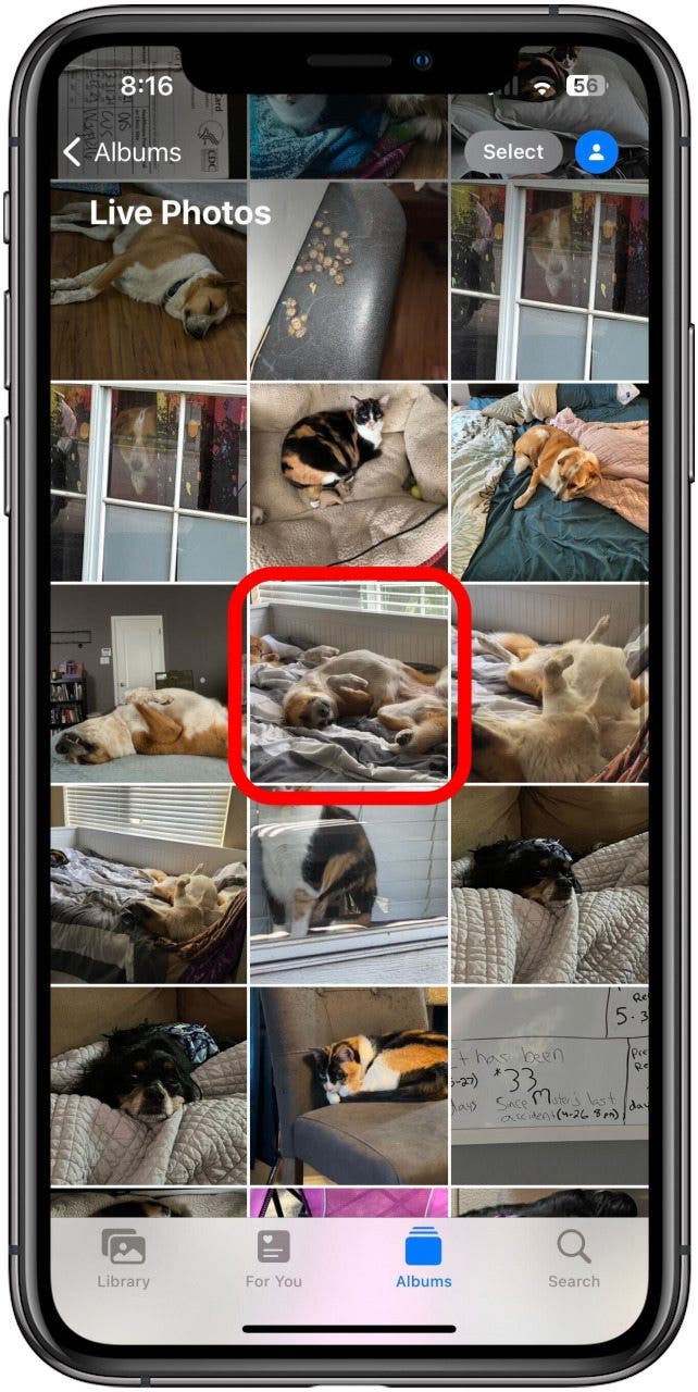 Photos app screen with an individual photo marked.