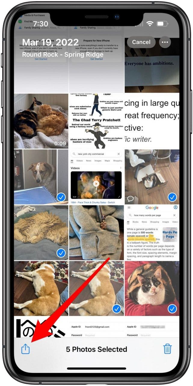 Photos app on Library screen in Select mode with some photos selected and Share button marked.