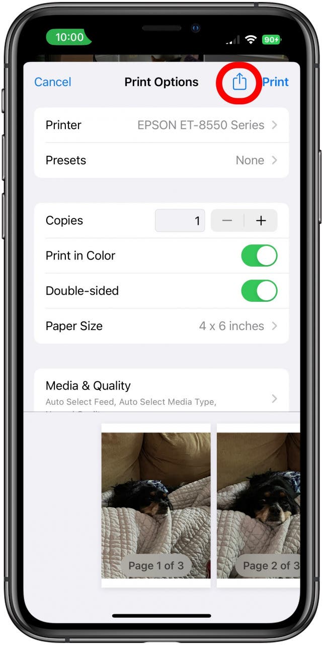Photos printing options with the Share icon marked.