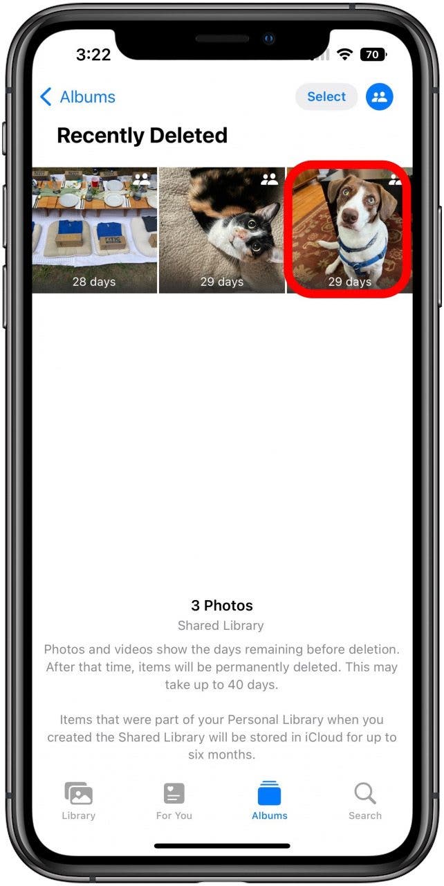 Photos app in the Recently Deleted album with one photo of a dog marked.