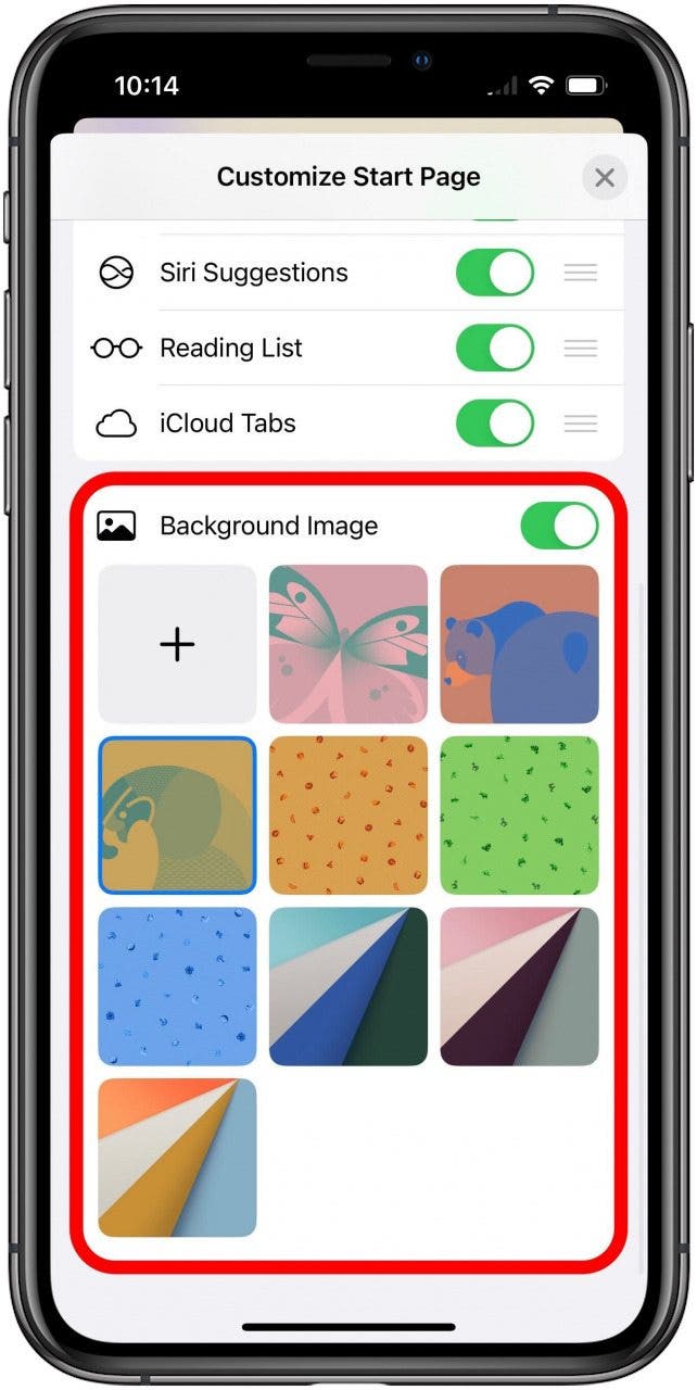 Safari app with the Customize Start Page sheet open for a Tab Group start page, scrolled to the bottom and the Background Image section marked.