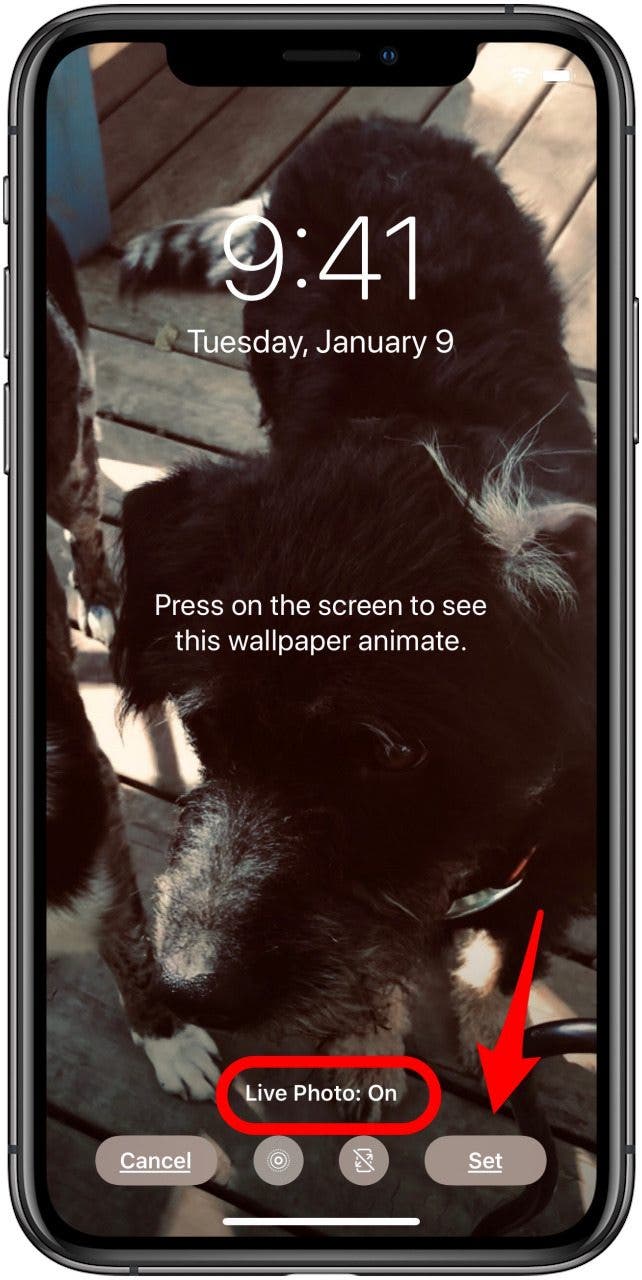 set live photo as wallpaper